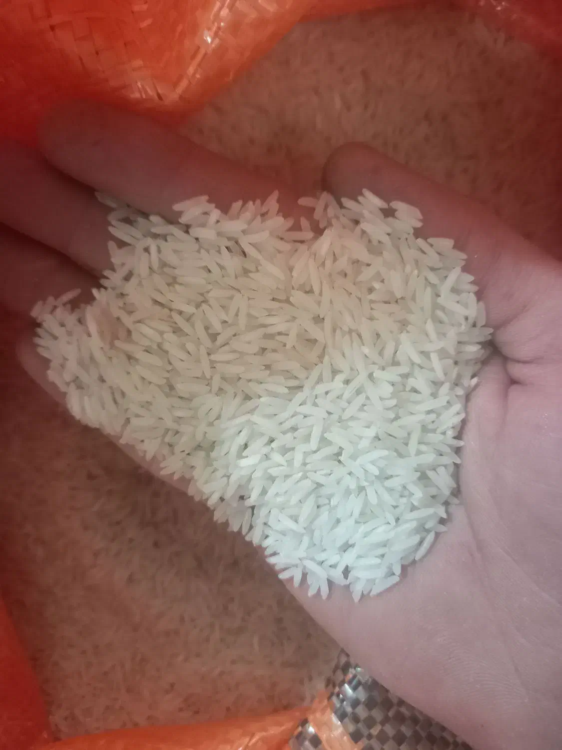 زیرقیمت کل بازار ایران|خوردنی و آشامیدنی|تاکستان, |دیوار