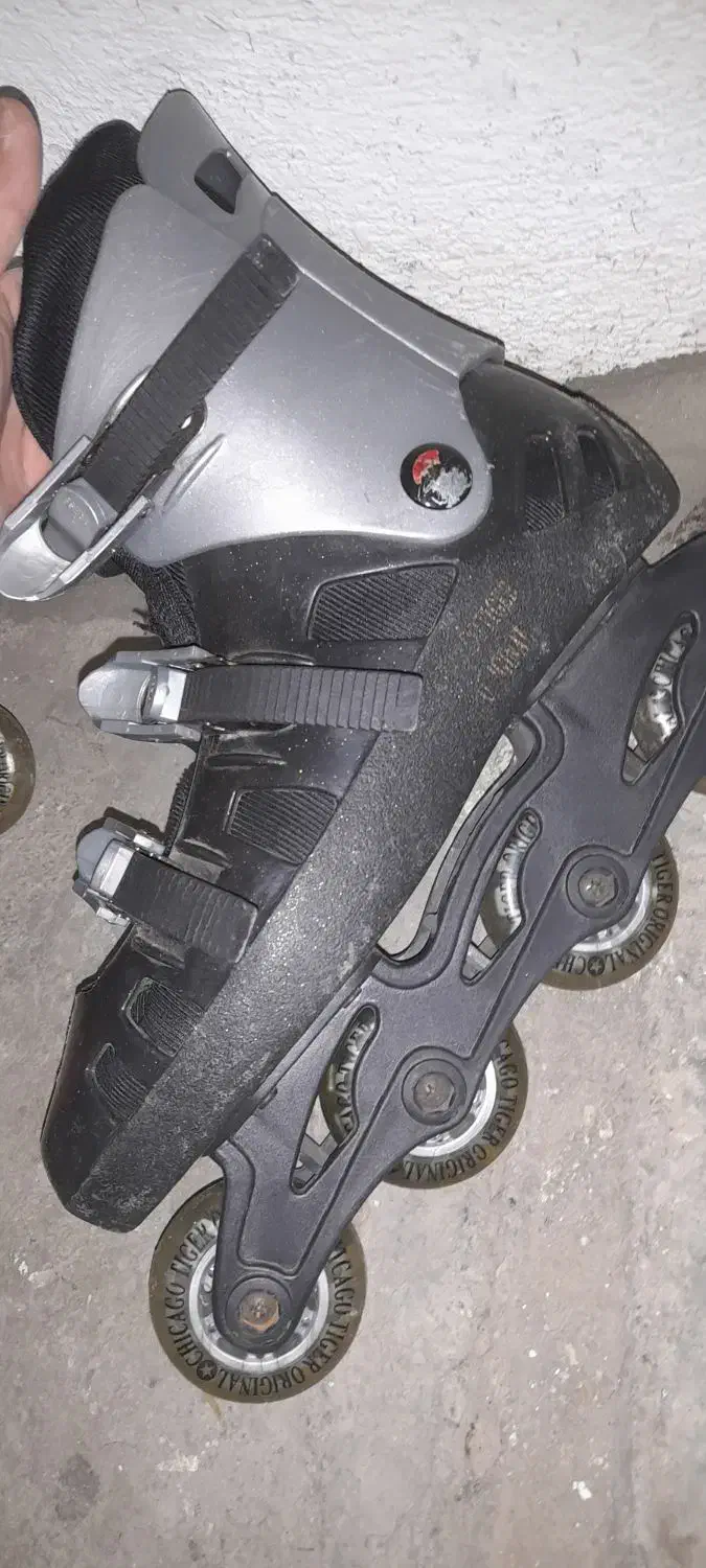 اسکیت|دوچرخه، اسکیت، اسکوتر|کرج, چمران|دیوار