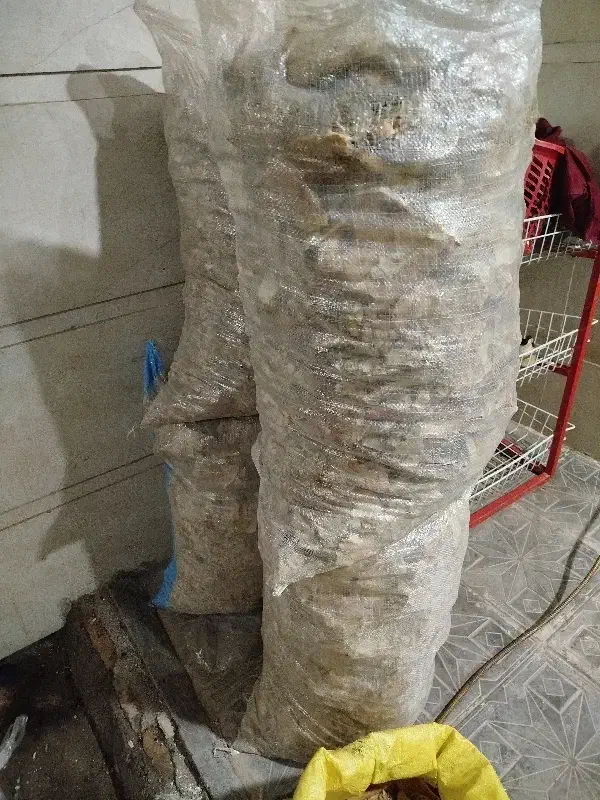 نان خشک|خوردنی و آشامیدنی|تربت جام, جامرود|دیوار