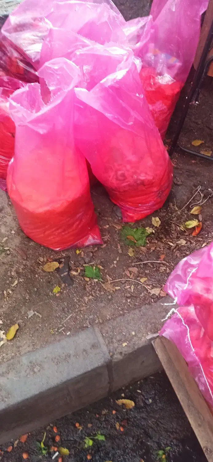 تفاله هویچ|لوازم جانبی حیوانات|مرند, |دیوار