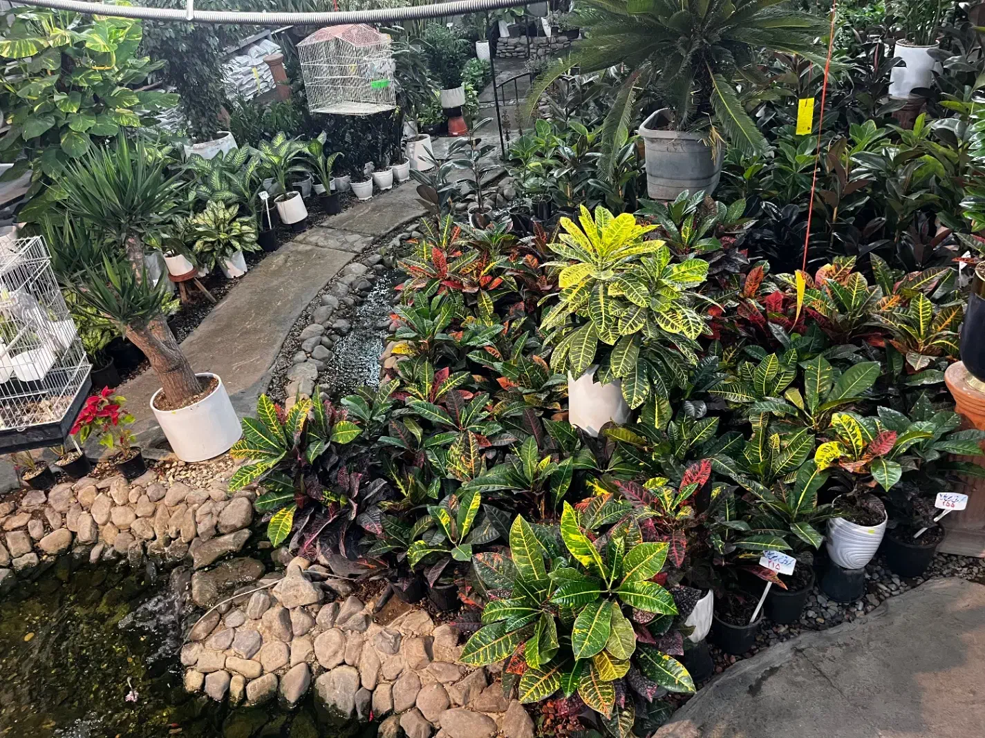 نیازمند همکار خانم جهت کار در گلستان یاس|استخدام خدمات فروشگاه و رستوران|قم, هفت تیر|دیوار