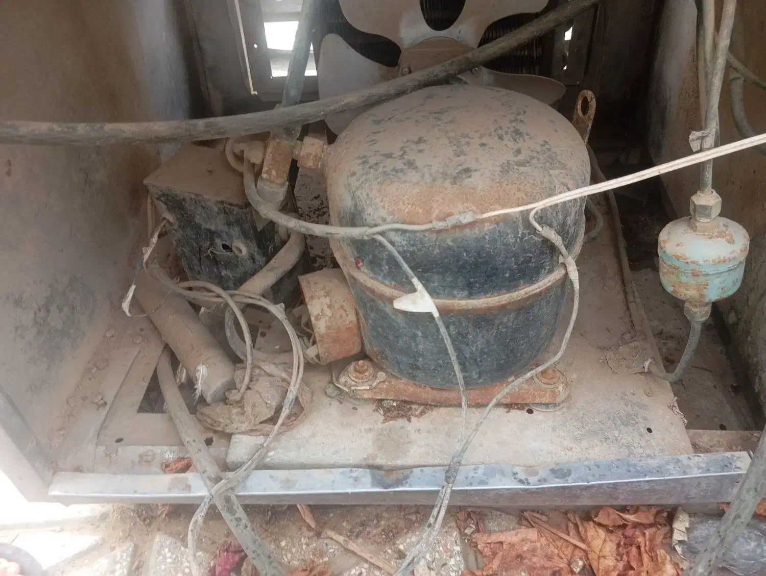 فریزیر|یخچال و فریزر|بردسکن, |دیوار