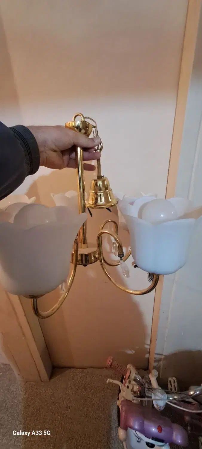 لوستر لاله چشمه نور|لوستر و چراغ آویز|تهران, شهران جنوبی|دیوار