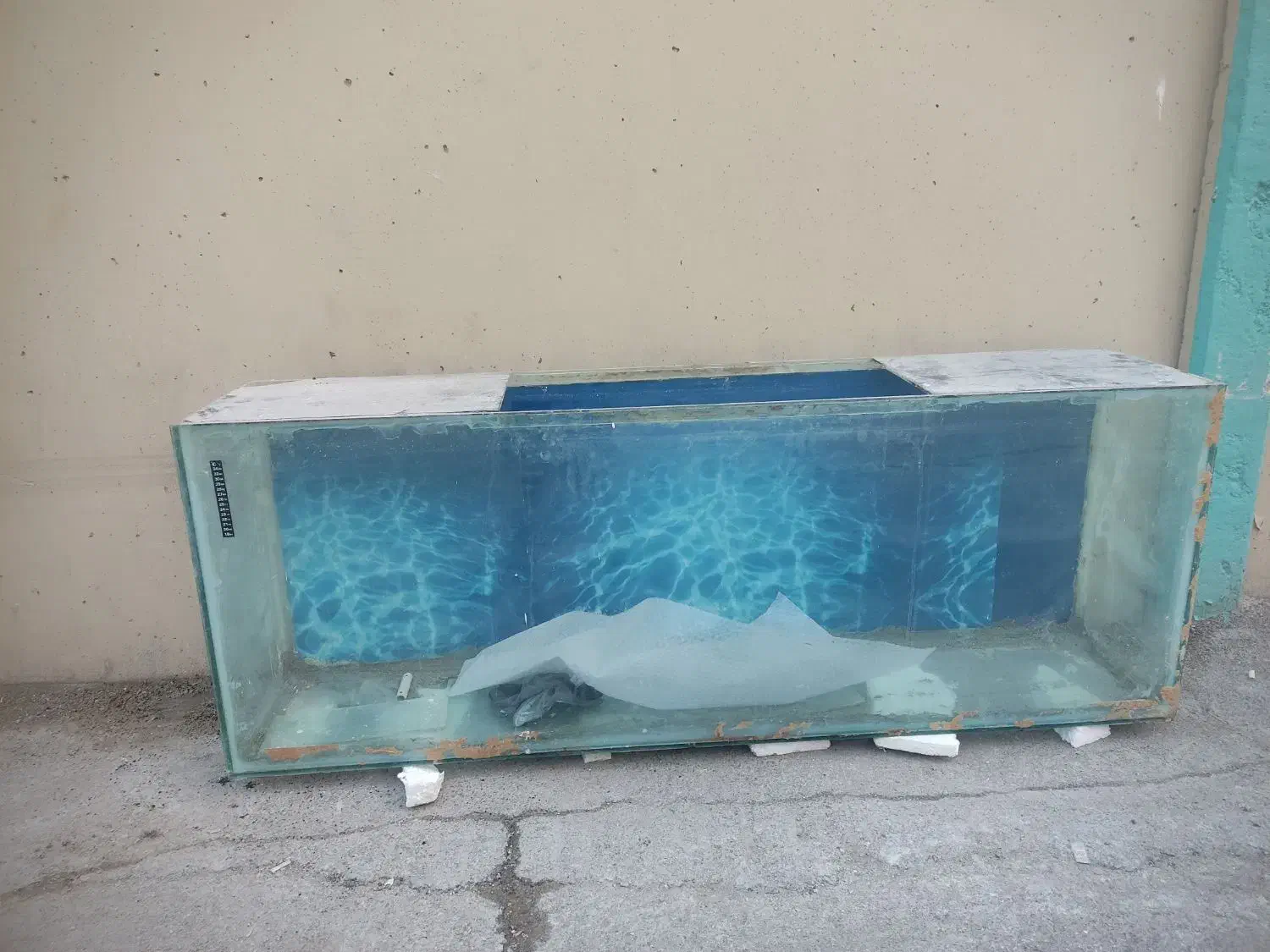 آکواریوم|ماهی|شهرکرد, |دیوار