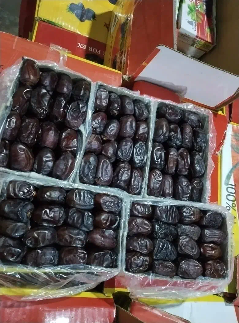 عرضه مستقیم خرما و رطب درجه یک|خوردنی و آشامیدنی|مشهد, کوی دروی|دیوار