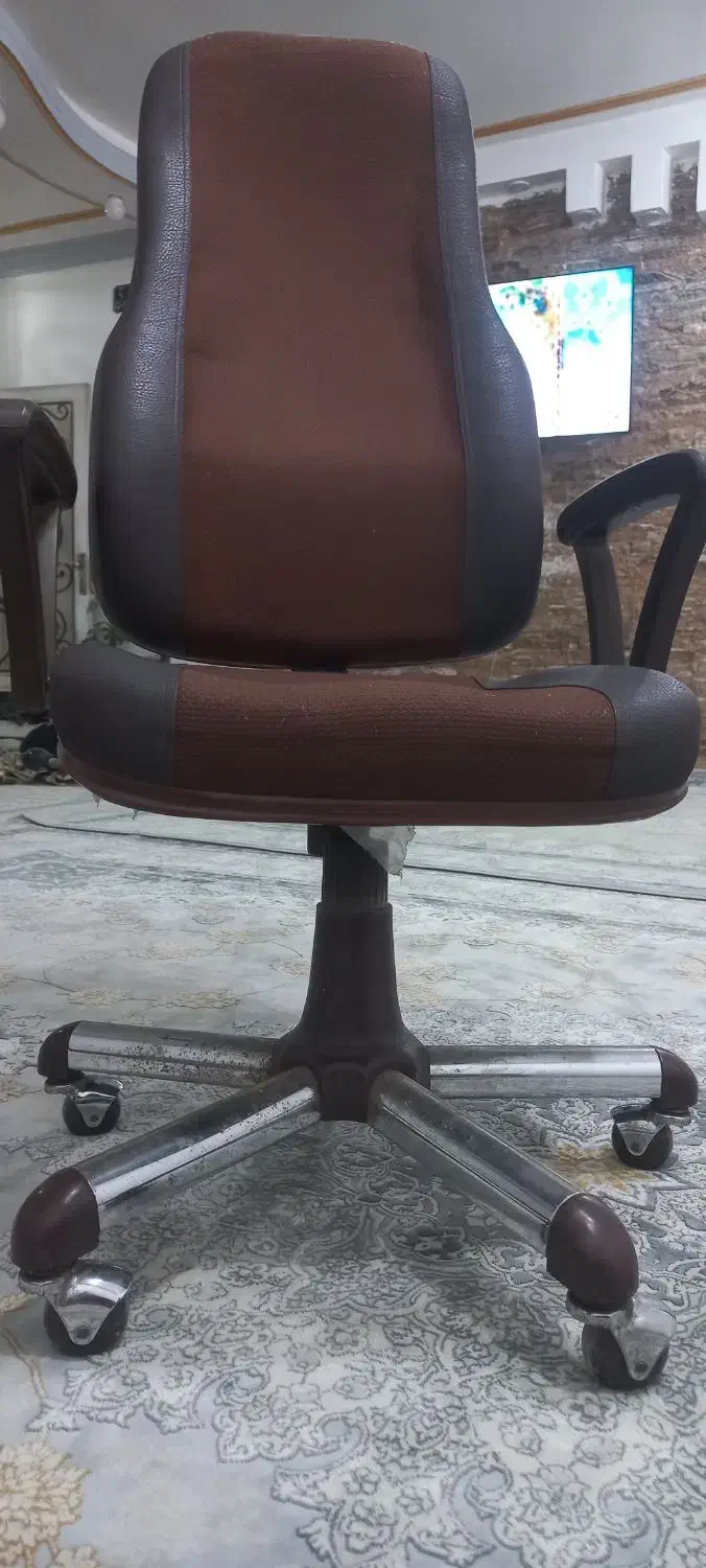 صندلی چرخ دار|دفتر کار|کارون, |دیوار