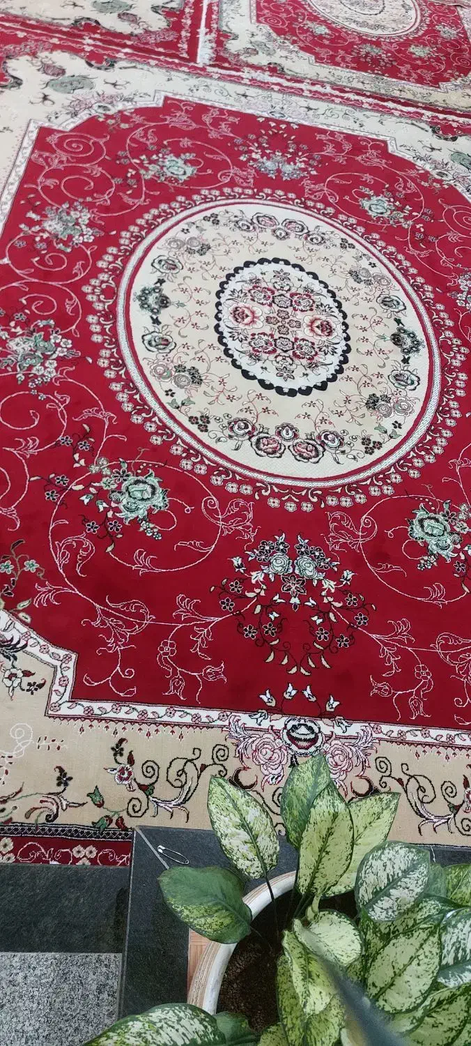 سه عدد 12متری یک عدد 6متری|فرش|گیان, |دیوار