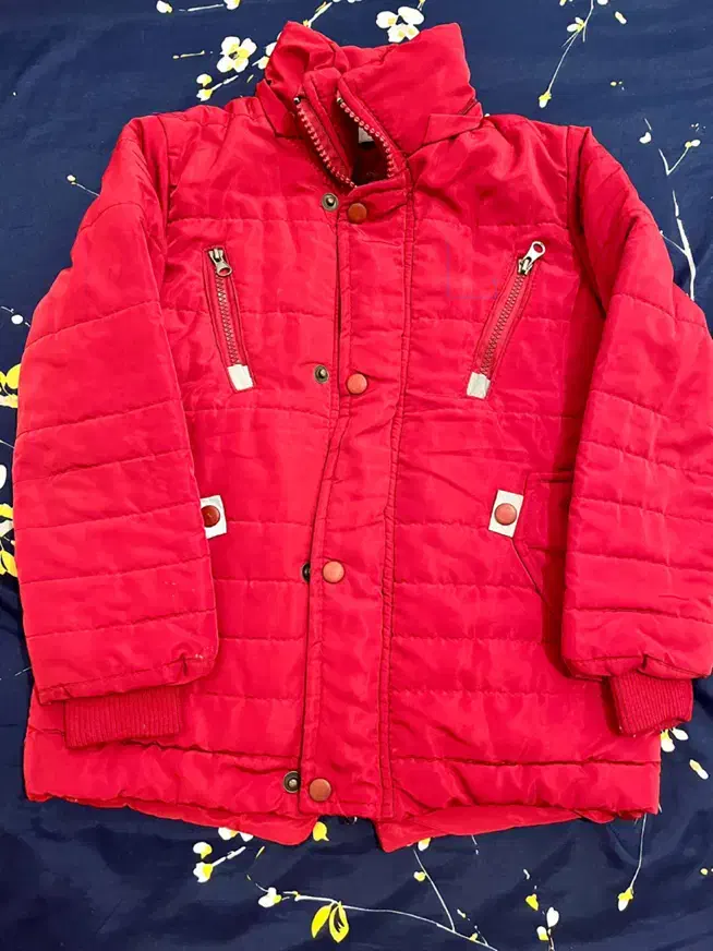 کاپشن|لباس|ساری, |دیوار