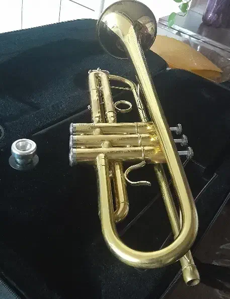 ترومپت(شیپور) پارومنت|سازهای بادی|پیر بکران, |دیوار