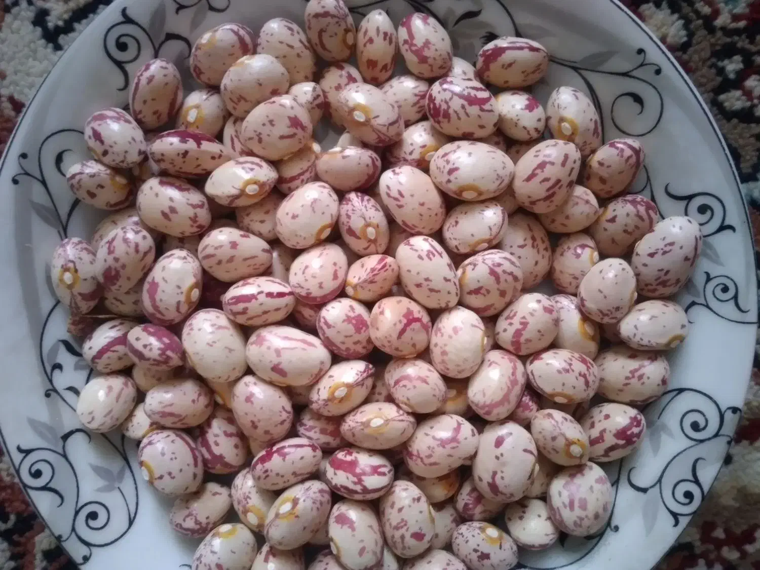 لوبیا|خوردنی و آشامیدنی|صائین قلعه, |دیوار