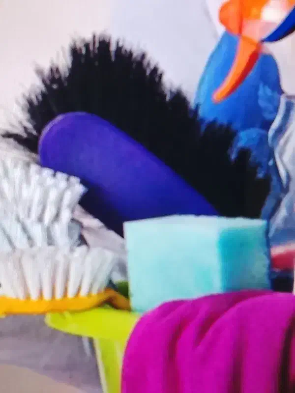 نظافت منزل|خدمات نظافت|حمیدیا, |دیوار