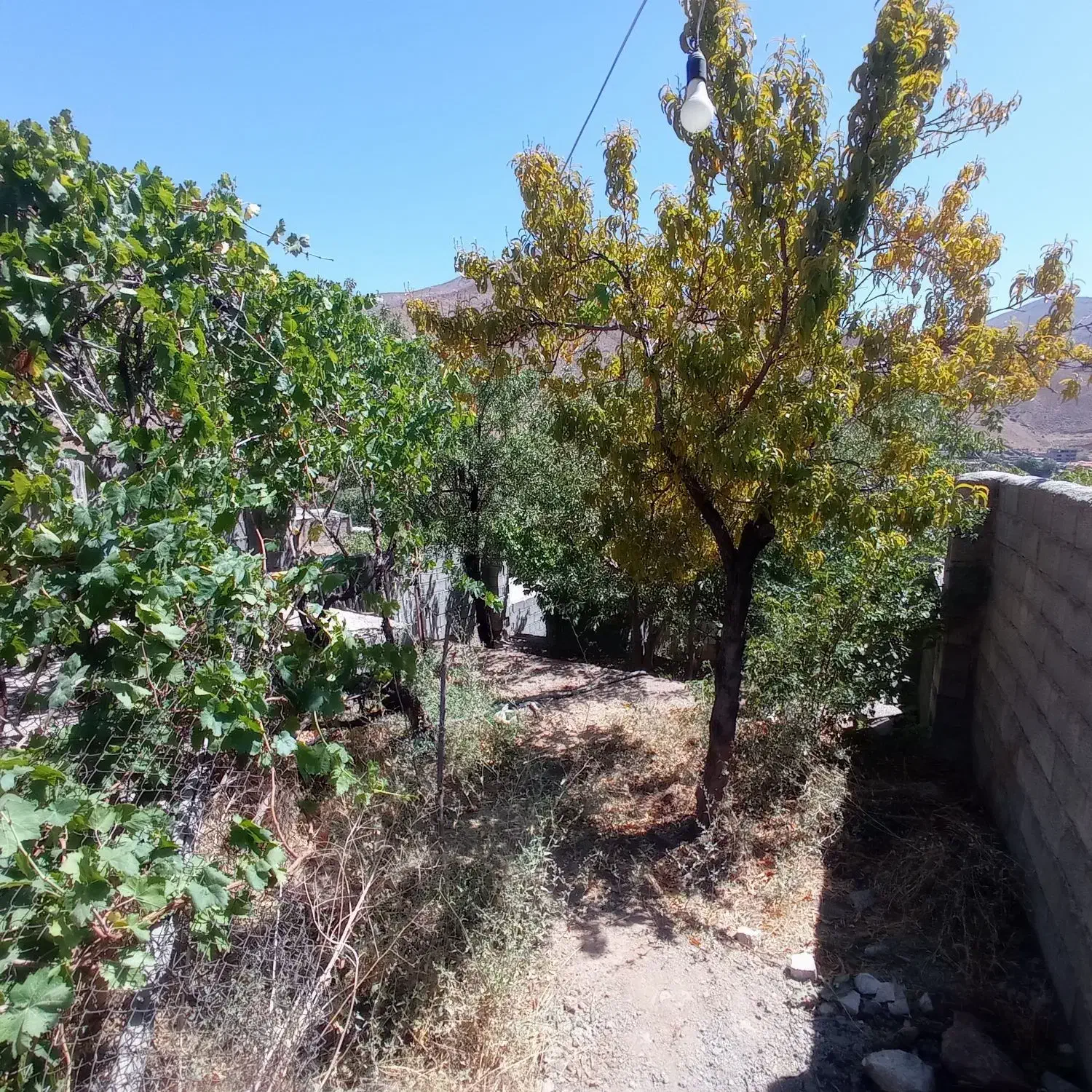 فوری 195 متر باغچه آبعلی شهرک مدرس|فروش زمین و ملک کلنگی|آبعلی, |دیوار