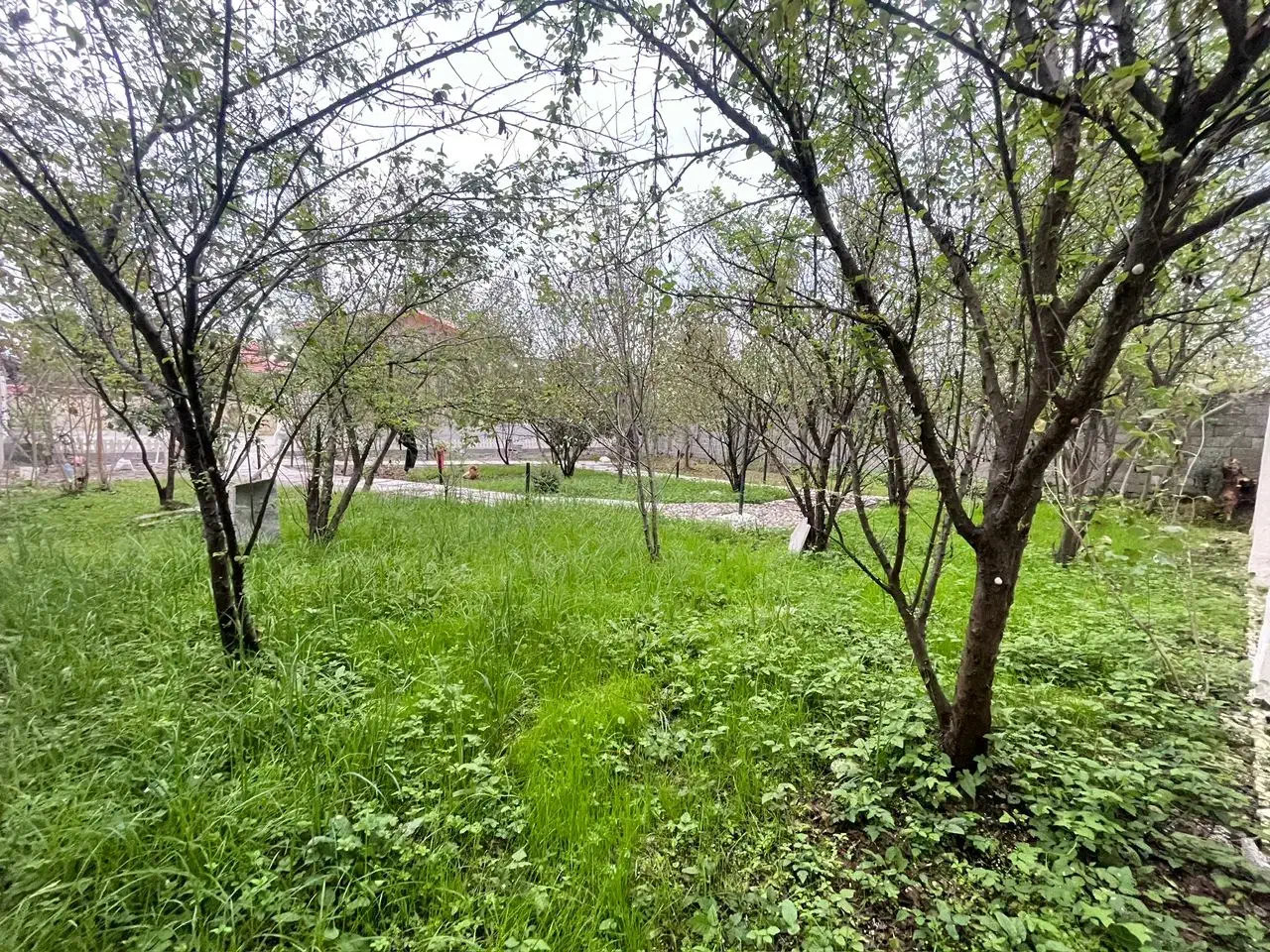 خونه ویلایی ۷۵۰متری صفر کلید نخورده|فروش خانه و ویلا|رشت, معلم|دیوار