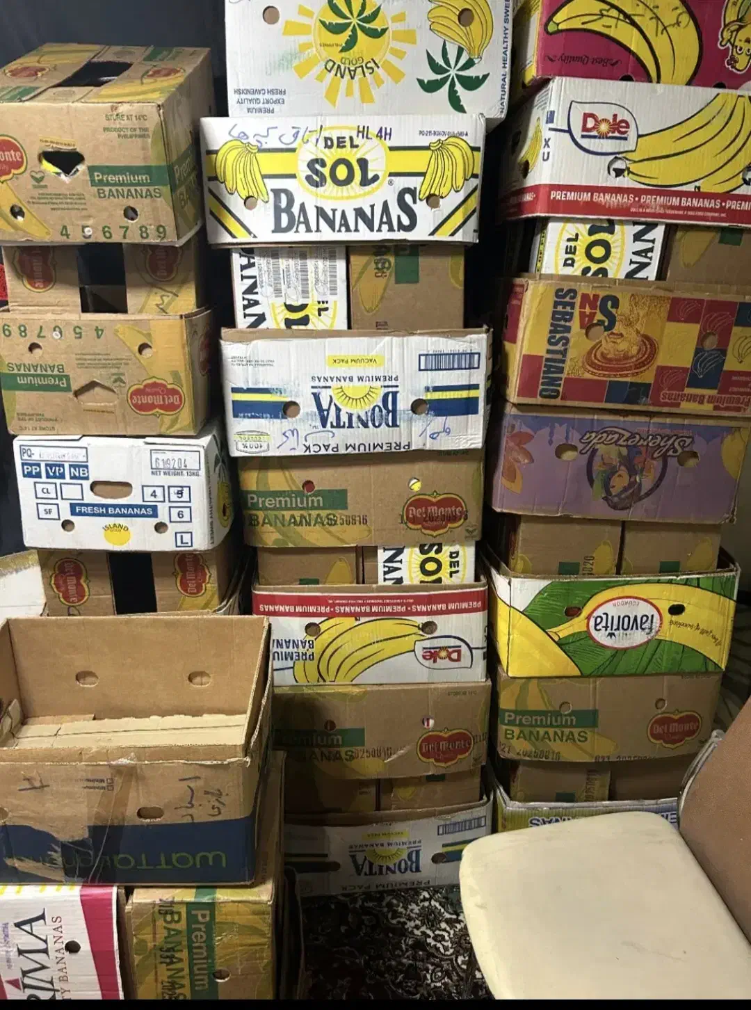 کارتن موزی|حراج|فردوس (خراسان), |دیوار