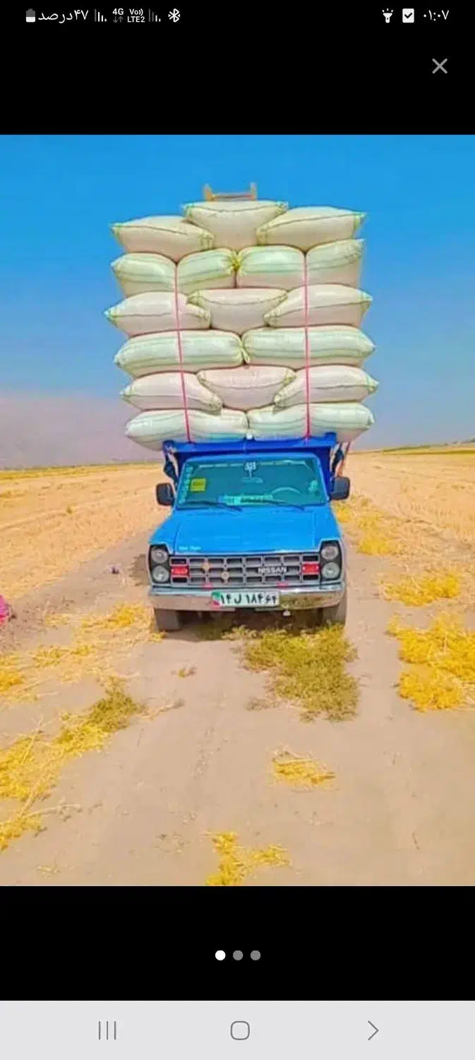 کاه‌گندوم‌و‌...|عمده‌فروشی|هشتگرد, ایقربلاغ|دیوار