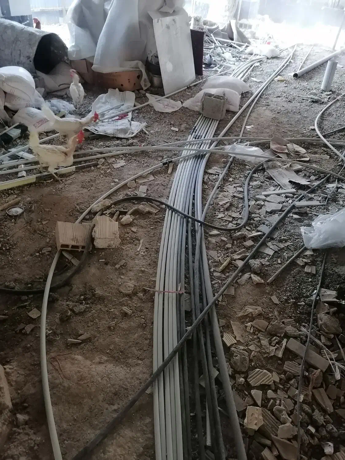 برق کار|خدمات پیشه و مهارت|کرج, فاز ۴ مهرشهر|دیوار