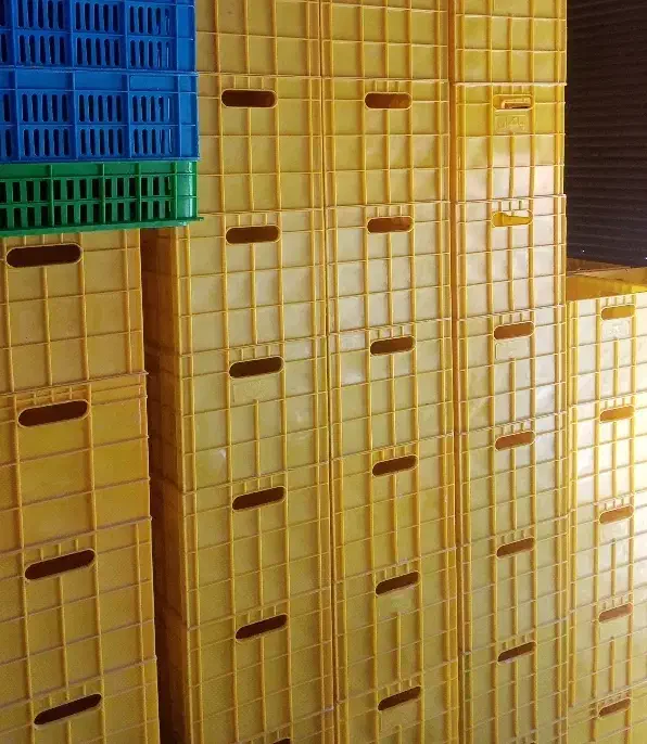 سبد پلاستیکی|فروشگاه و مغازه|شاهدشهر, |دیوار