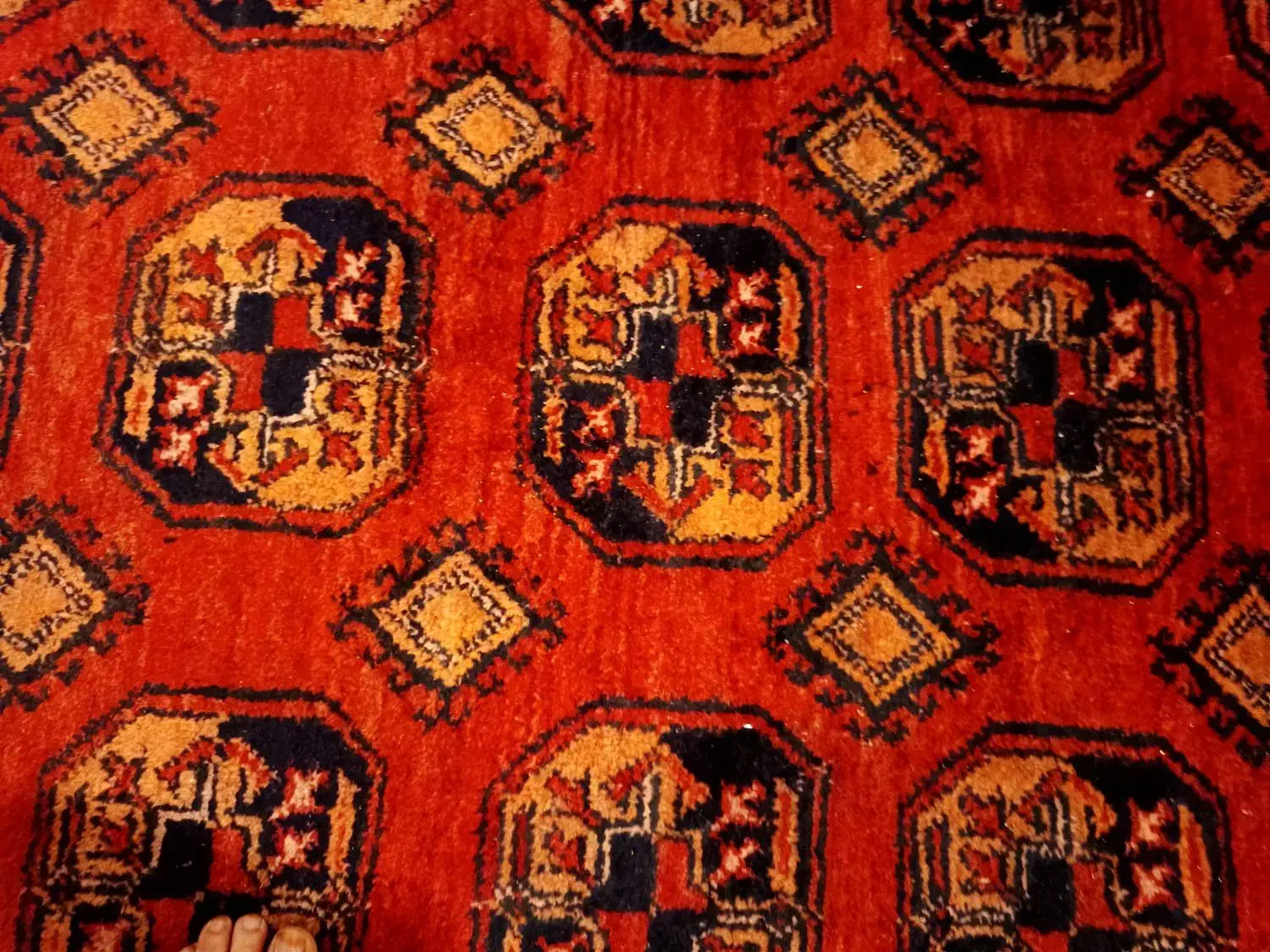 فرش عتیقه 110ساله|فرش|رودهن, |دیوار