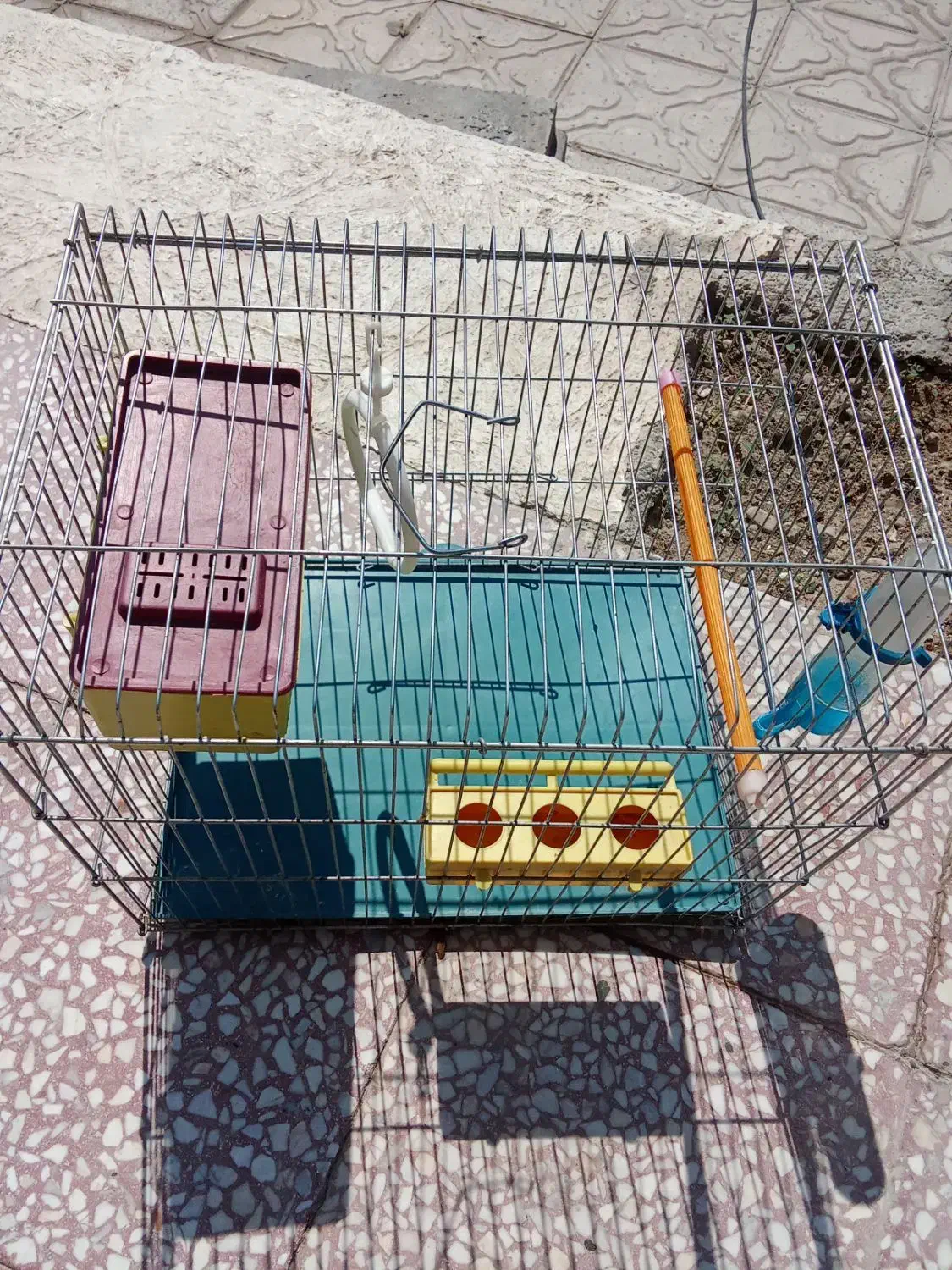 قفس پرنده|لوازم جانبی حیوانات|فیروزآباد (فارس), |دیوار