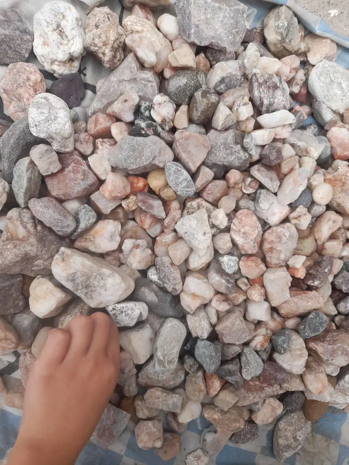 سنگ|گل و گیاه طبیعی|مشهد, هفت تیر (نه دره)|دیوار