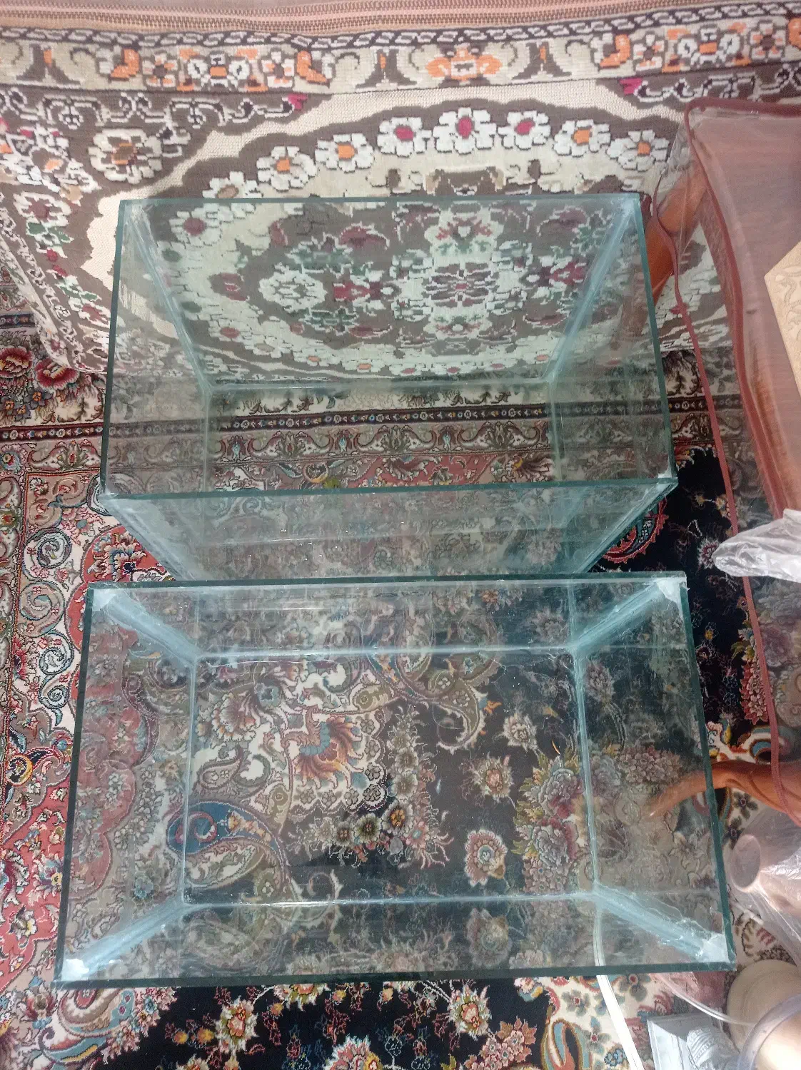 اکواریوم ماهی|ماهی|تربت‌حیدریه, سرمحله|دیوار