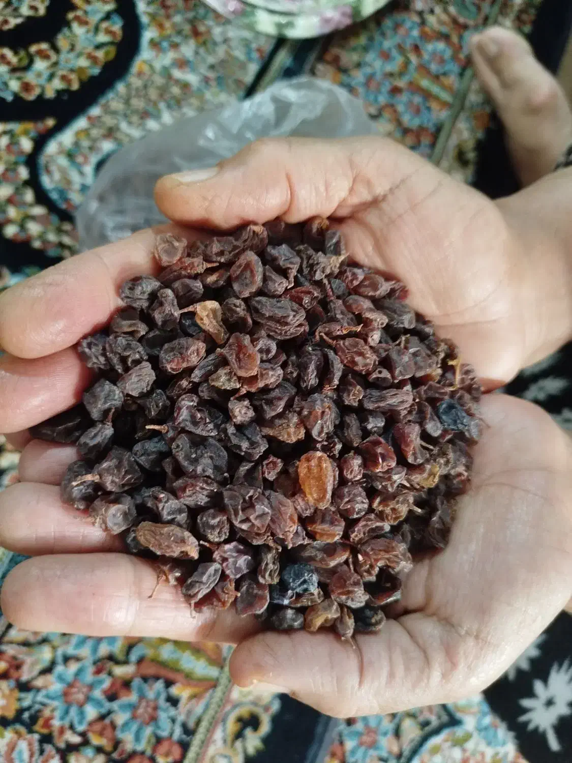 کشمش بش بی هسته|خوردنی و آشامیدنی|شیراز, کوزه گری|دیوار