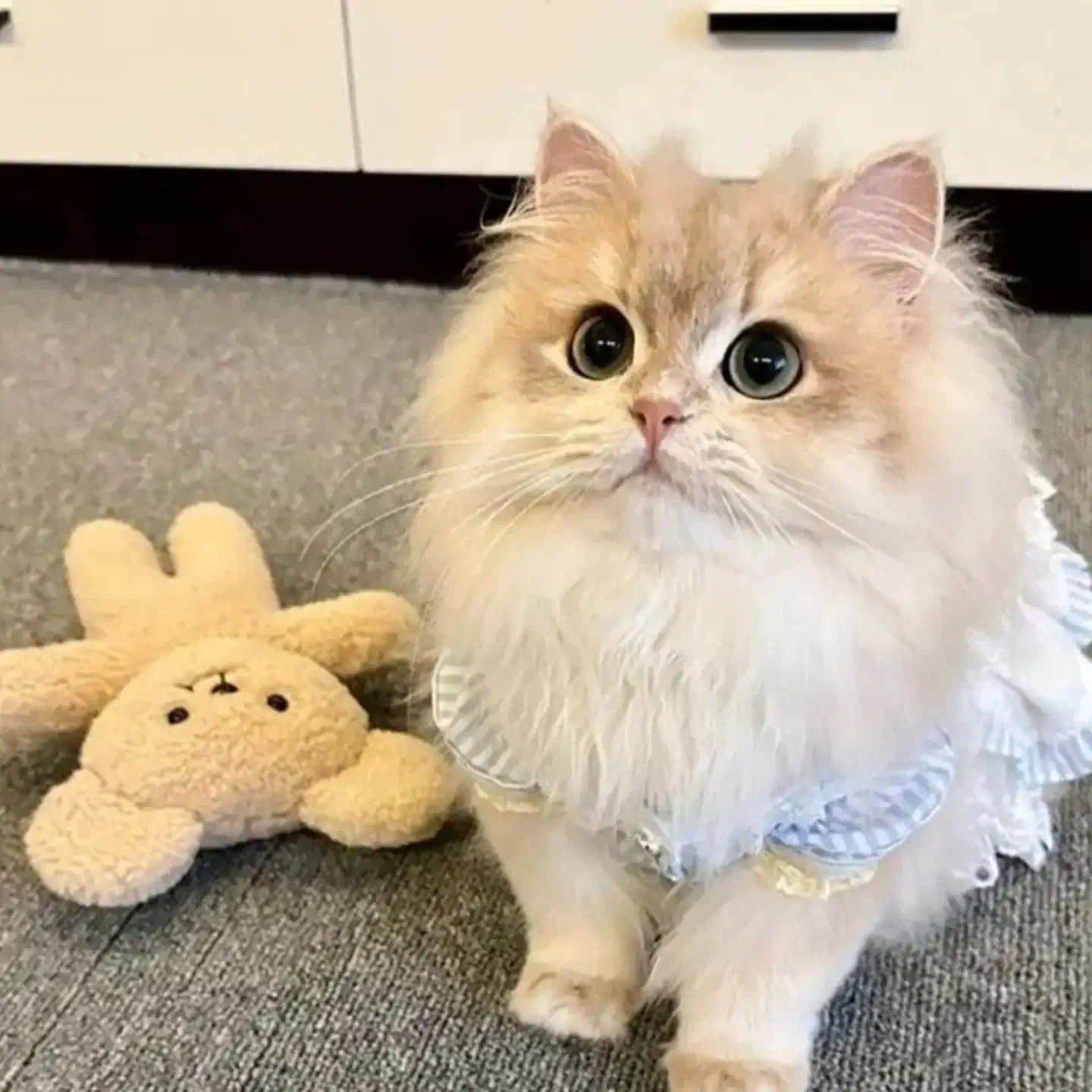 کیف مدارک مشکی گم کردم|اشیا|ساوه, |دیوار