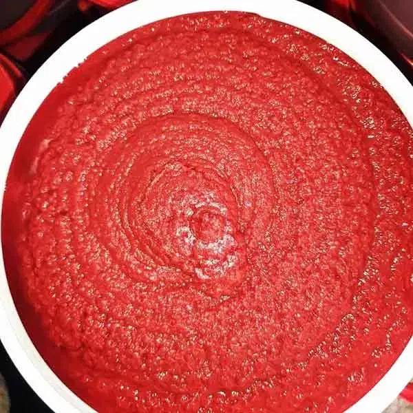 رب گوجه خانگی تمیز با کیفیت|خوردنی و آشامیدنی|شیراز, میانرود|دیوار