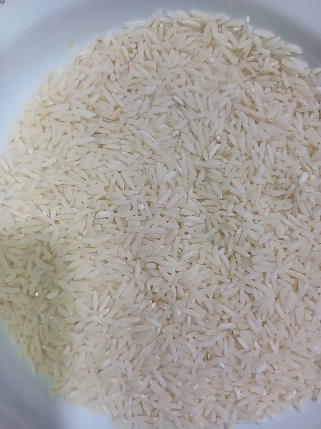 فروش برنج هاشمی درجه یک|خوردنی و آشامیدنی|رشت, یخسازی|دیوار