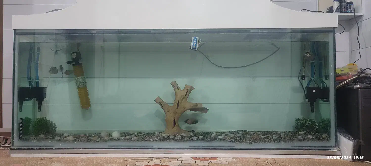 آکواریوم بزرگ|ماهی|دهاقان, |دیوار
