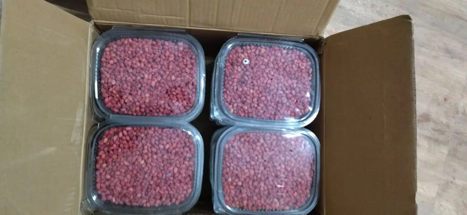 زرشک|خوردنی و آشامیدنی|سده (خراسان جنوبی), |دیوار