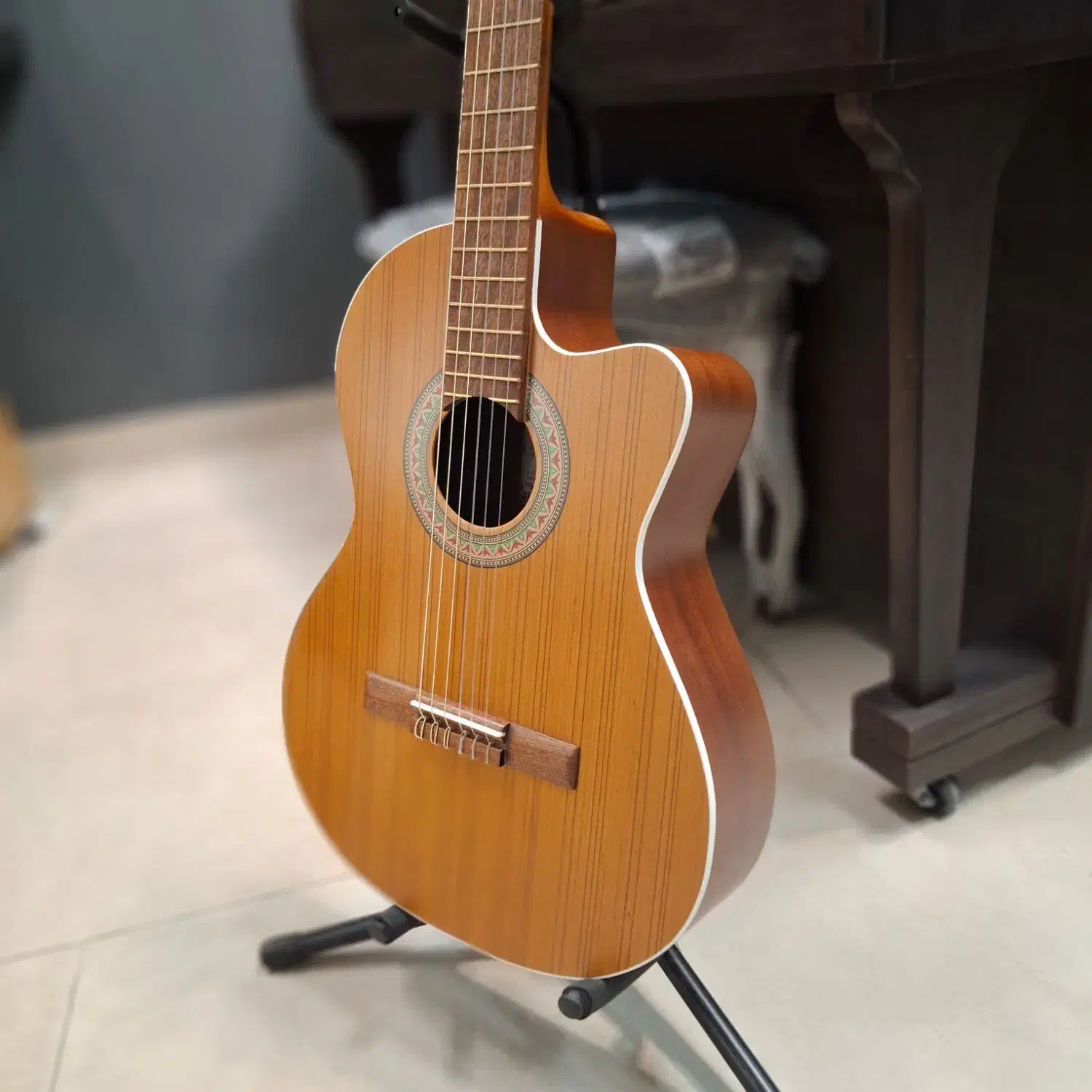 گیتار پارسی m5 cut و m5 کلاسیک|گیتار، بیس، امپلیفایر|پردیس, فاز ۲|دیوار