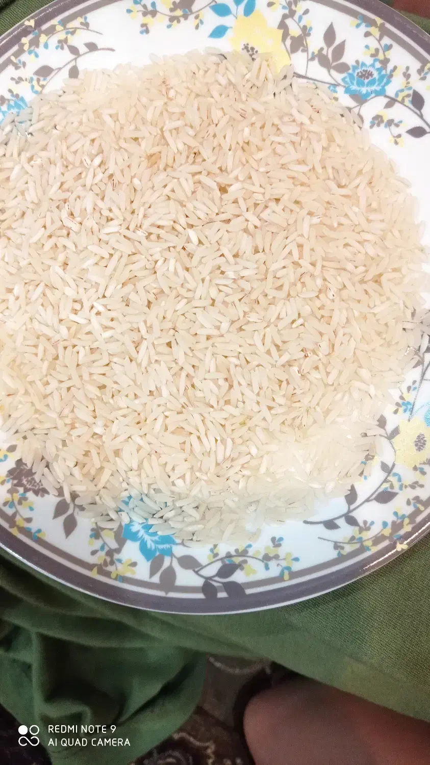 برنج هاشمی درجه یک|خوردنی و آشامیدنی|سیاهکل, |دیوار