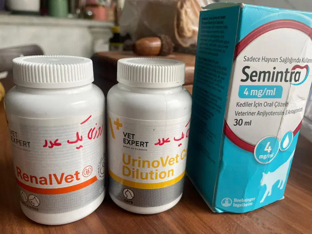 غذا خشک و دارو ومکمل درمانی کلیوی گربه|لوازم جانبی حیوانات|تهران, مرزداران|دیوار