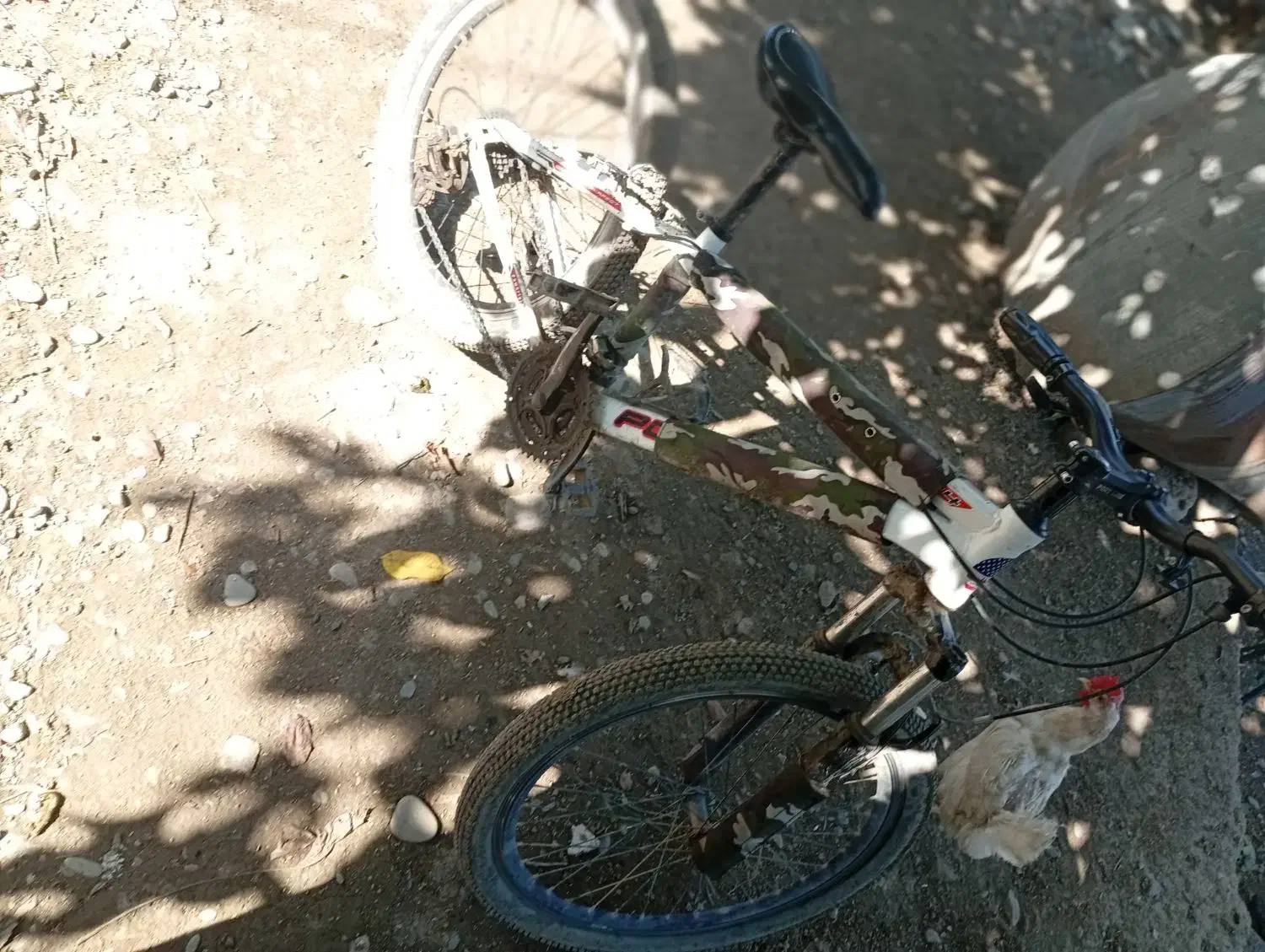 دوچرخه 24|دوچرخه، اسکیت، اسکوتر|خدا آفرین, |دیوار