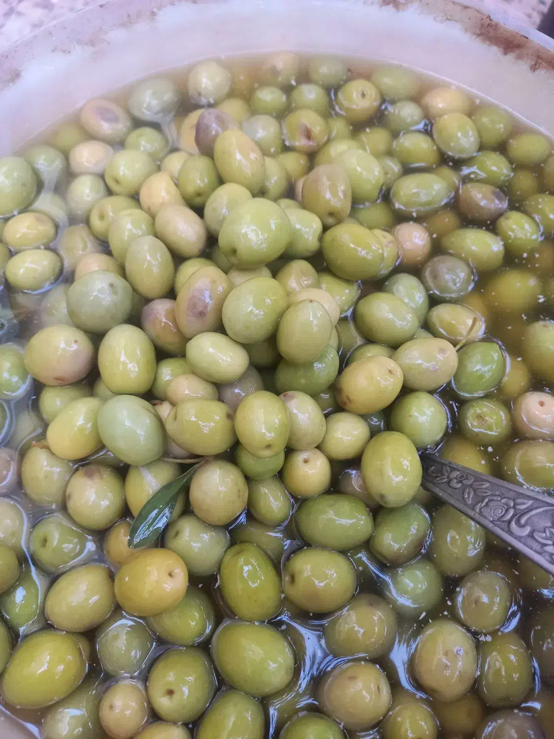 محصولات اورگانیک|خوردنی و آشامیدنی|باغستان, |دیوار