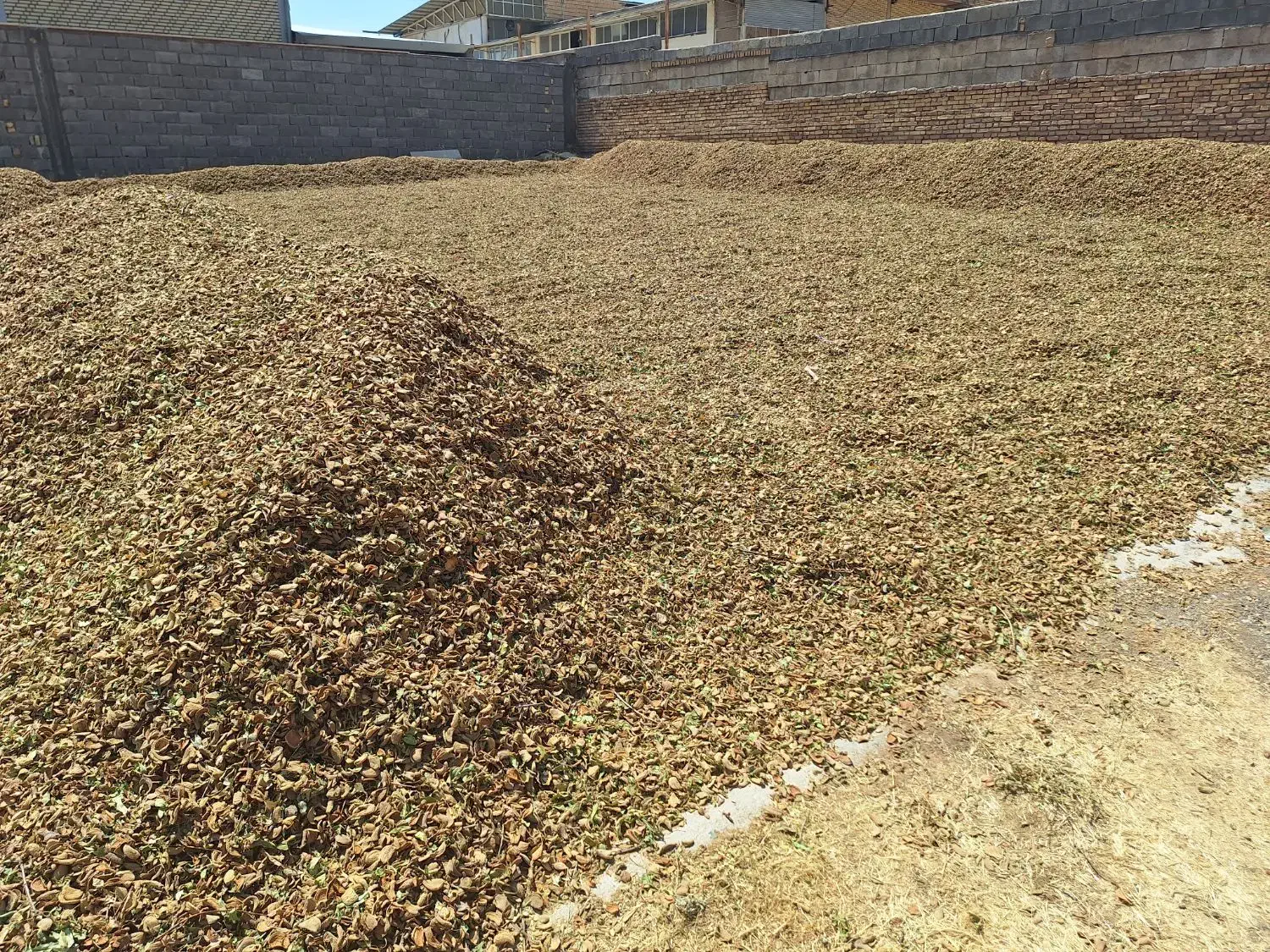 پوست بادام خشک|لوازم جانبی حیوانات|سامان, |دیوار