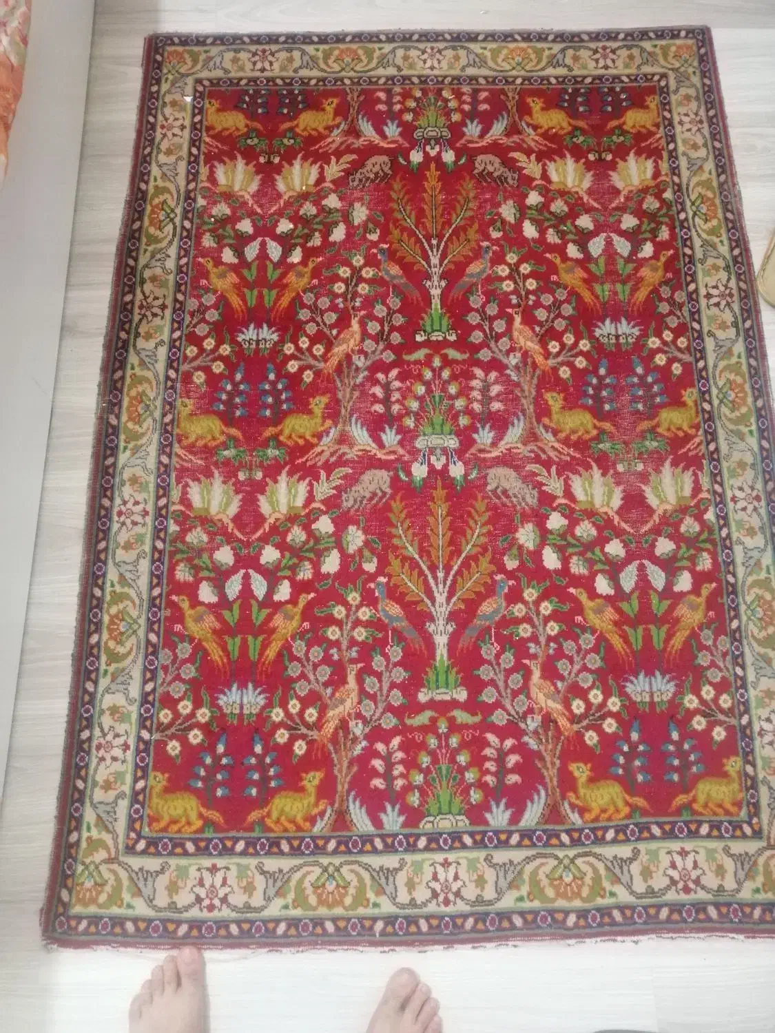 فرش دست بافت با یکم تعمیر کاری 200ساله|فرش|ارومیه, |دیوار