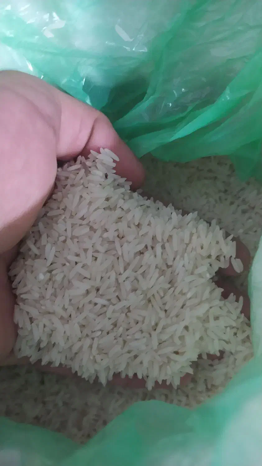 برنج سرلاشه مینودشت|خوردنی و آشامیدنی|سبزوار, هویزه|دیوار