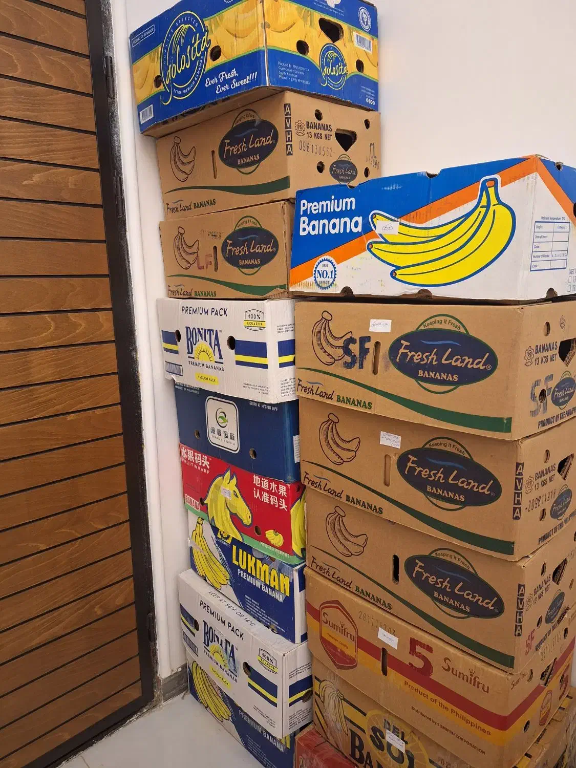 ۱۶ عدد جعبه موز کاملا سالم|عمده‌فروشی|لاهیجان, حزین|دیوار