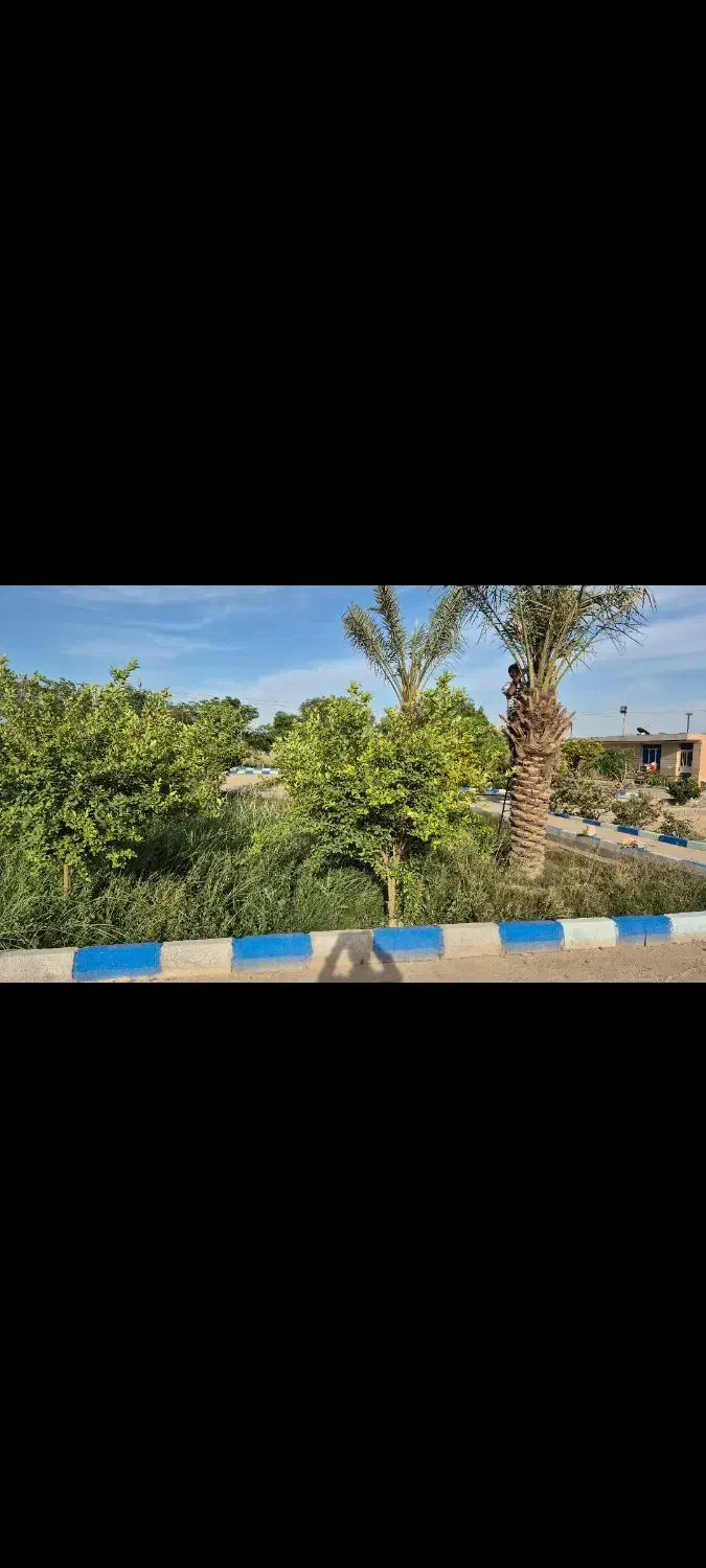 فروش زمین شهرک شرافت گلخانه ها|فروش زمین و ملک کلنگی|شوشتر, |دیوار