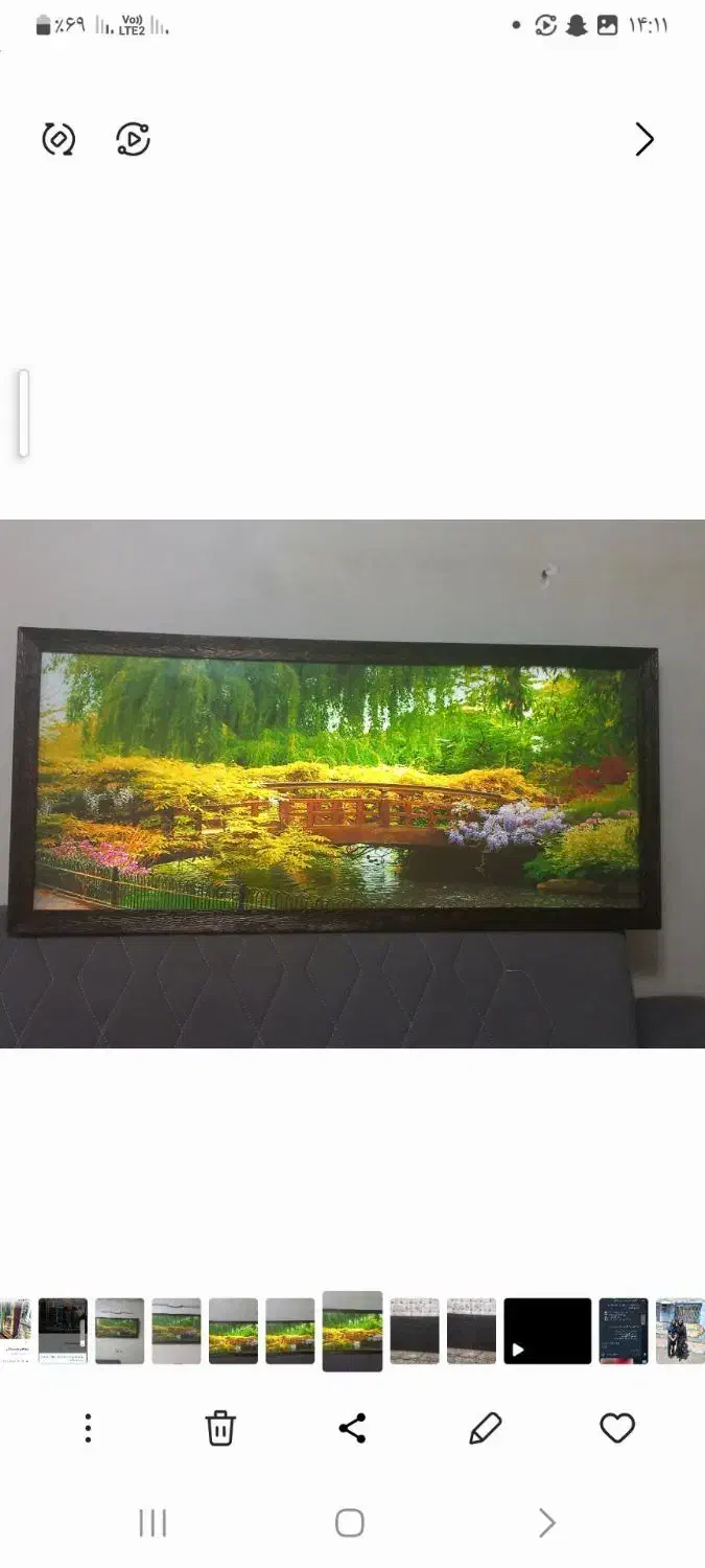 دو عدد تابلو سالم|تابلو، نقاشی، عکس|بهارستان, |دیوار