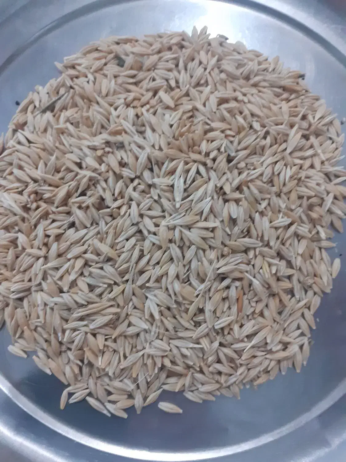 جو تمیز|خوردنی و آشامیدنی|مشگین شهر, |دیوار