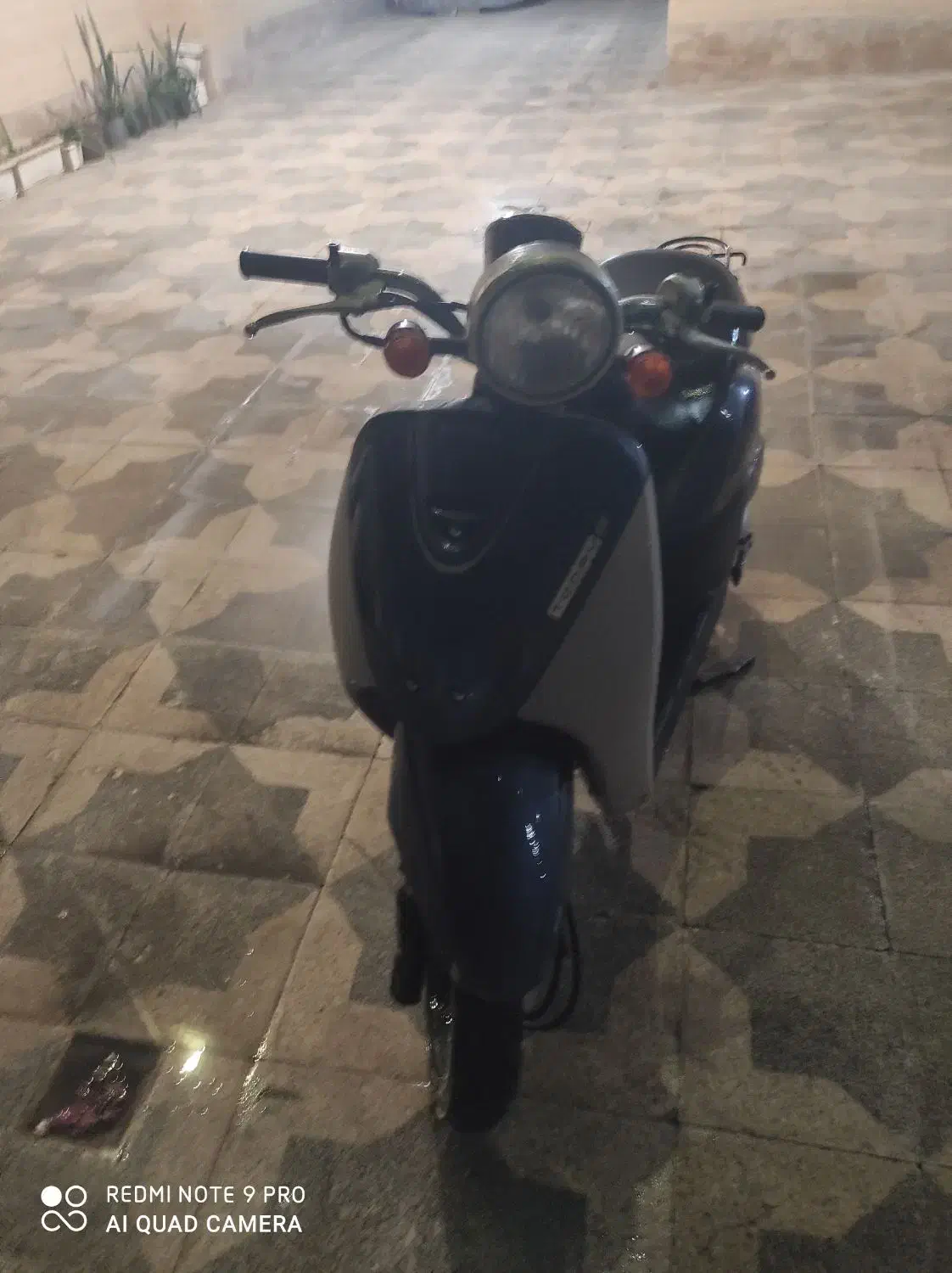 هوندا تودی اف|موتورسیکلت|قشم, |دیوار