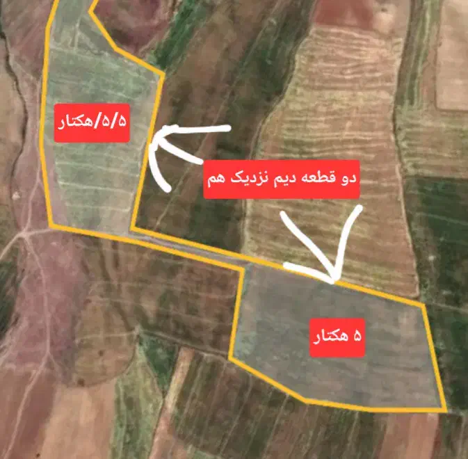 فروش زمین کشاورزی دیمی و آبی|فروش دفتر صنعتی، کشاورزی، تجاری|موچش, |دیوار