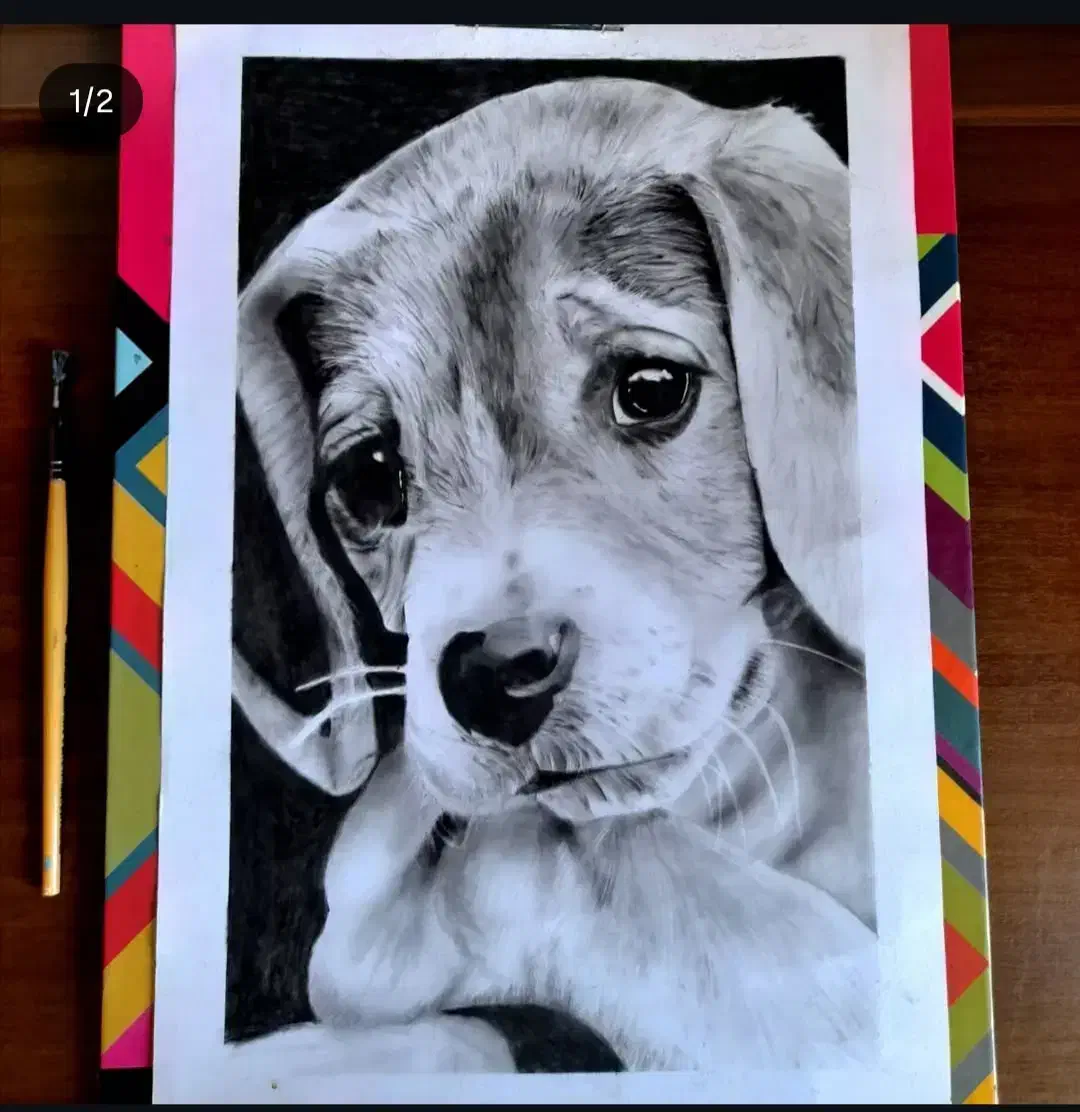 طراحی سیاه قلم چهره و حیوانات(مشهد/گلبهار)|تابلو، نقاشی، عکس|گلبهار, شهر جدید گلبهار|دیوار