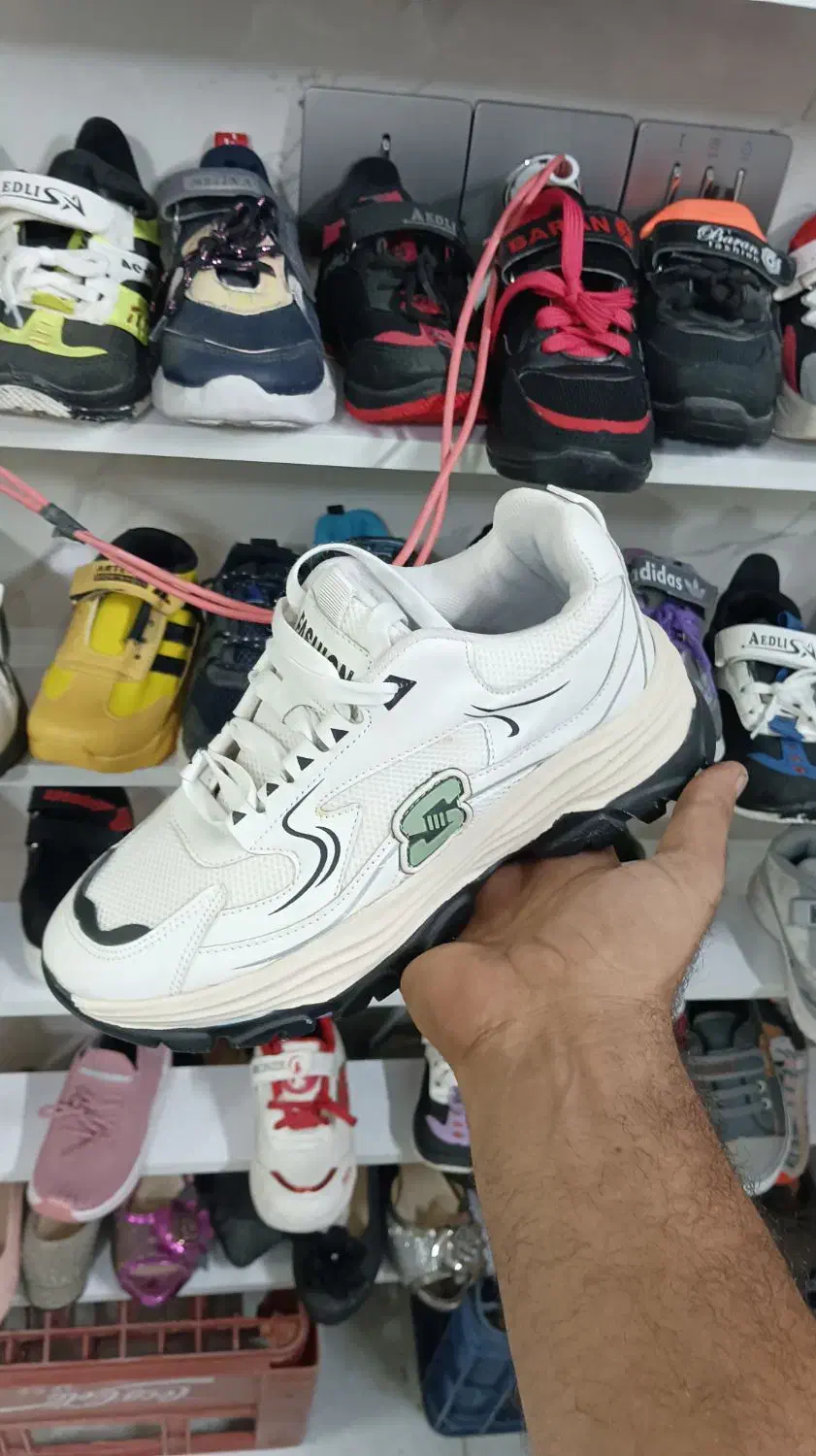 کفش والیبال دوتیکه زنانه|ورزش‌های توپی|سبزوار, شهرک ابوذر|دیوار