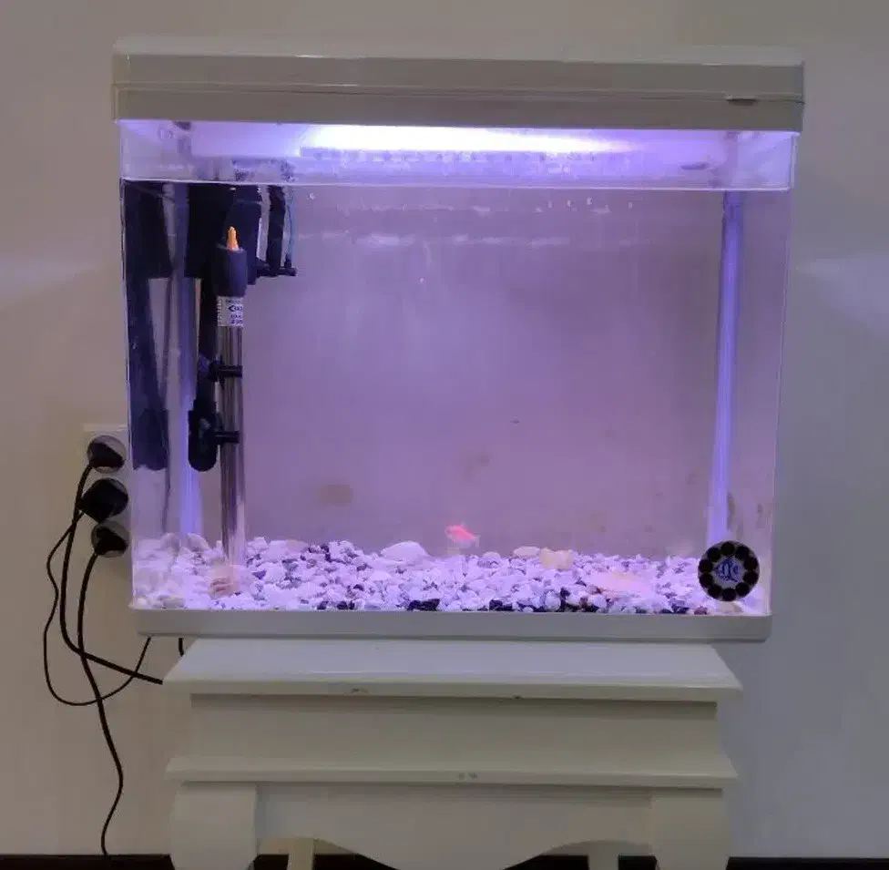 آکواریم|ماهی|اهواز, کیانپارس |دیوار