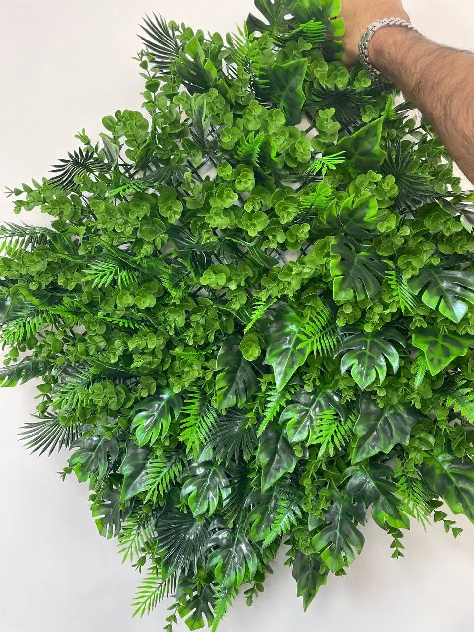 گرینوال خارجی و فنس دیواری برگی|گل مصنوعی|یزد, |دیوار