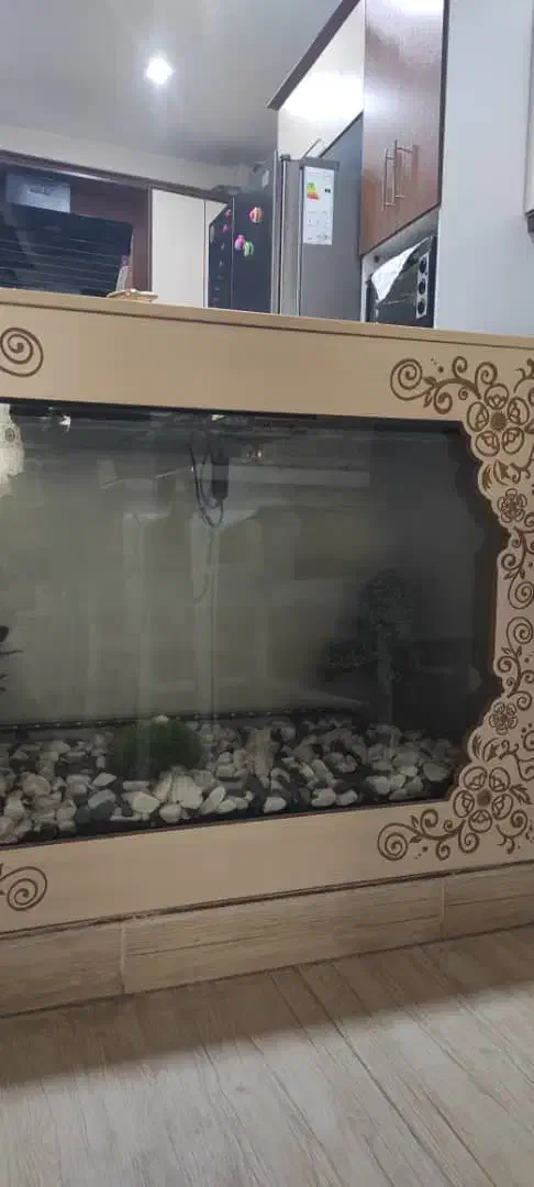 اکواریوم در حدنو|ماهی|قرچک, باقرآباد|دیوار